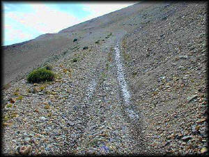 The trail up to the Mt. Belknap ridge.